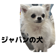 Haruna_20260106213304