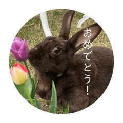 mamamiho_20260106212733