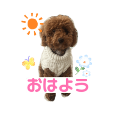 reo_no_kainushi_20260106213213