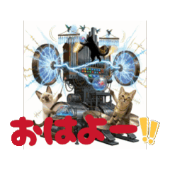 お酒とネコ好きな日常会話82