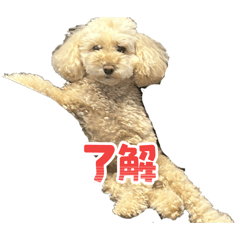 raisu_20260106235629