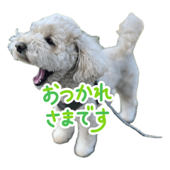 raisu_20260107001205