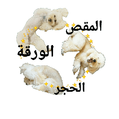 Poodle's rock-paper-scissors (Arabic)