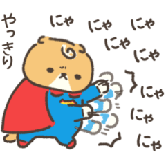 Super Nyan in Shizuoka.Scottish fold 2.