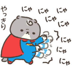 Super Nyan in Shizuoka.Scottish fold 1.