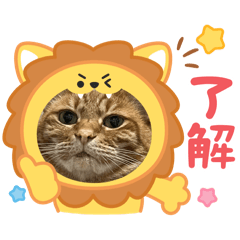 naoneko_20260107033850