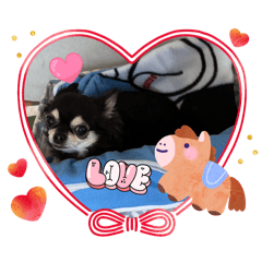 cherry_20260107071012