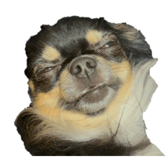 P-tyan_20260107085356