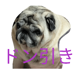 longchurros_20260107093223