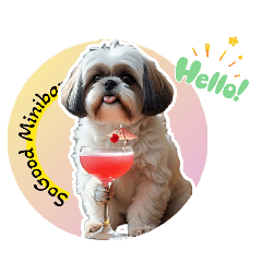 sainam_20260107041248