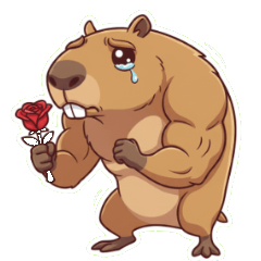 แฮมสเตอร์นักกล้ามกอดให้กำลังใจด้วยรัก