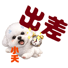 small_20260105190501