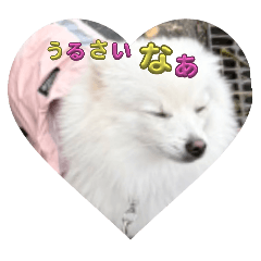 kawasmi_20260107120456