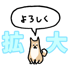 "Enlarged" Shiba Inu (balloon)