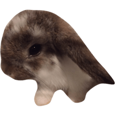 Bunny_Rabbit