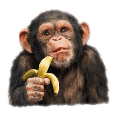 wendy_20260107060849