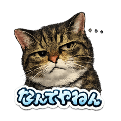 osaki_20260107115305