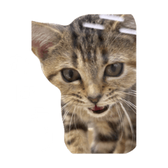 k_20260105153054