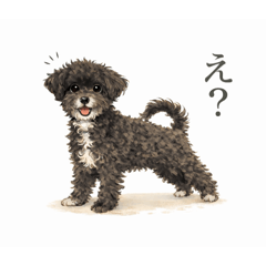 minami_20260105180709