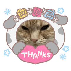 CHIHIRO_20260108024251