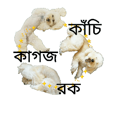 Poodle's rock-paper-scissors ( Bengali )