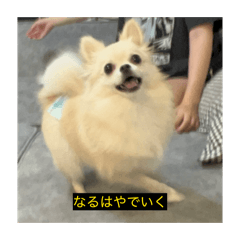 rei_20260107140446