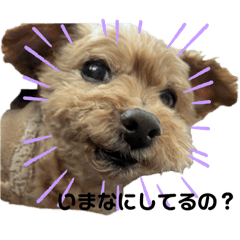 kokoa_20260107124141