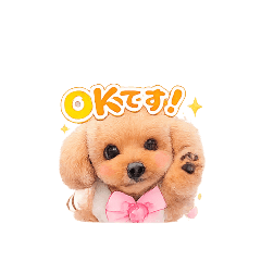 runa_20260107155600