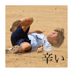 hachi_20260107173443