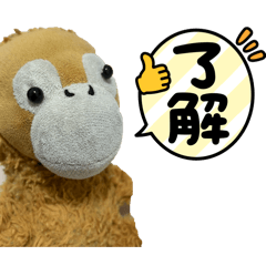 My Best Friend Monkey