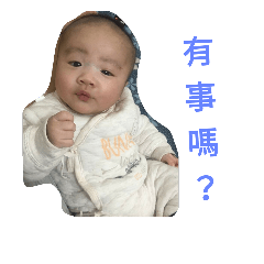 Zhao Ting