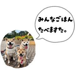 chika_20260107220540