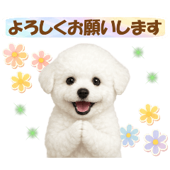 かわいいビションの犬スタンプ