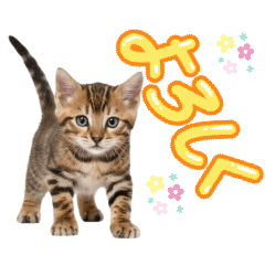 murakata-shop_20260107182959