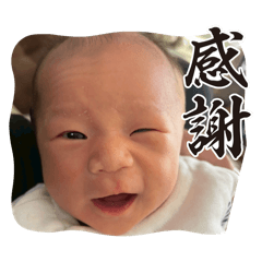 mano_20260107143800
