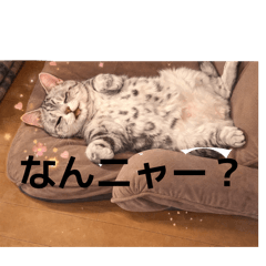 K_20260107202416