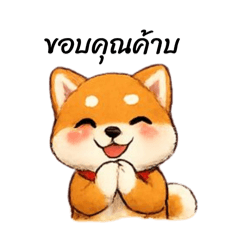 Shiba everyday look V.1