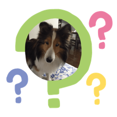 yamada_20260107203552