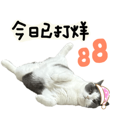 曼尼社畜的懶散日常