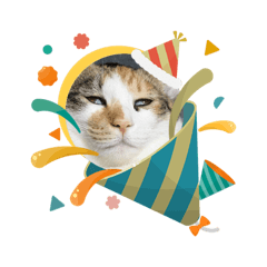 kawamura_20260107152320