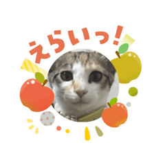 kawamura_20260107152014