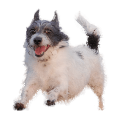 Mimmy Stickers Vol. 1