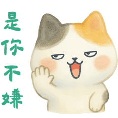 Cute flower cat is so polite.