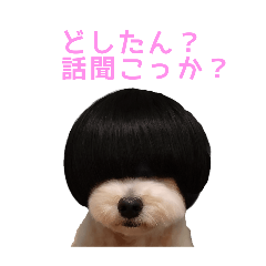 税込50万円で購入した犬とその家族