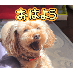 miisuke_20260107150459