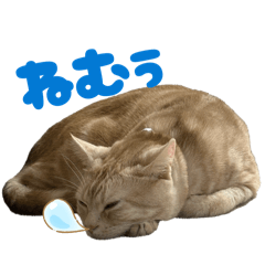 lamune_20260107204943