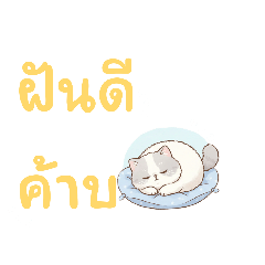 mareeya_20260107145322