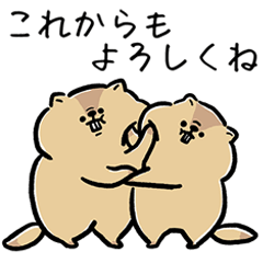 1年中使えるマーモットの気持ち伝える