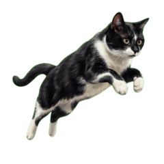 LINE Stamp Maker_20260108002113