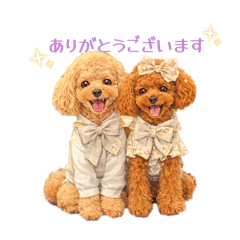 runa_20260108002022